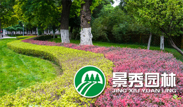 景秀之光园林绿化工程有限公司